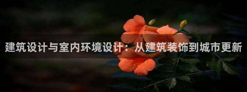 新航面试娱乐