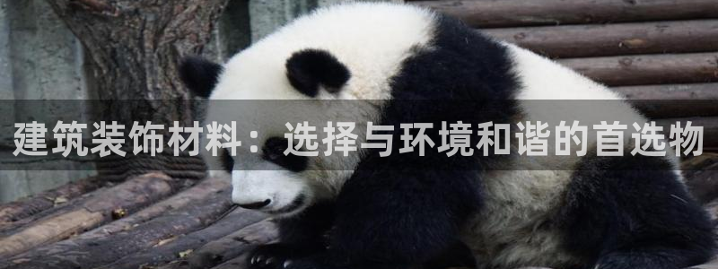 新航娱乐入网要求