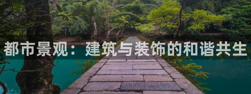 新航文化娱乐传媒