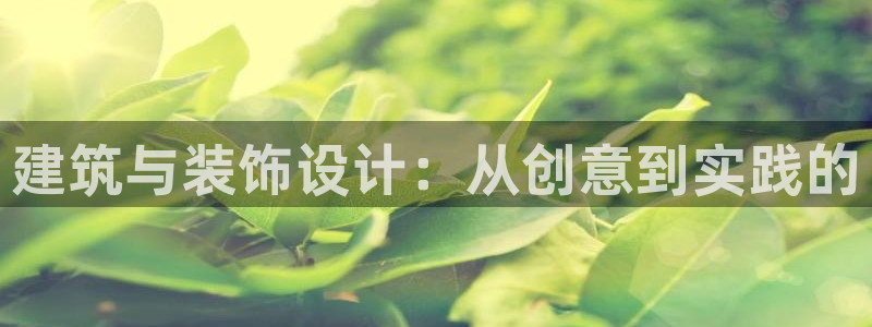新航娱乐有限公司怎么样