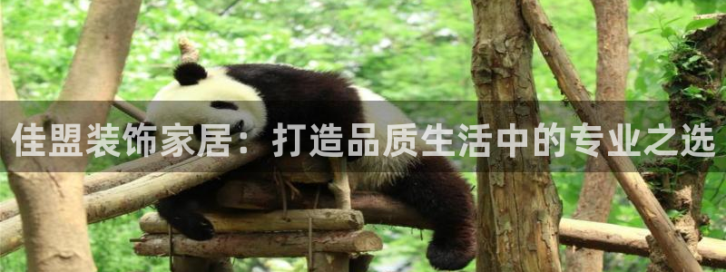 兰山新航线娱乐会所