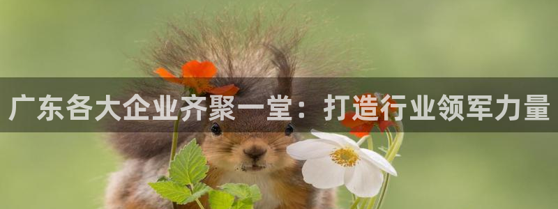 新航海娱乐会所地址