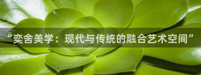 新航娱乐公司招聘电话