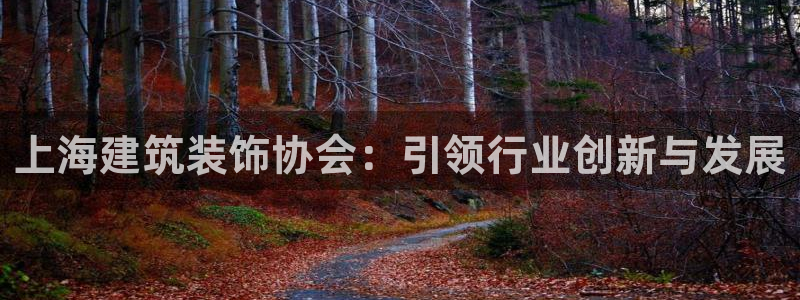 新航娱乐传媒怎么样啊