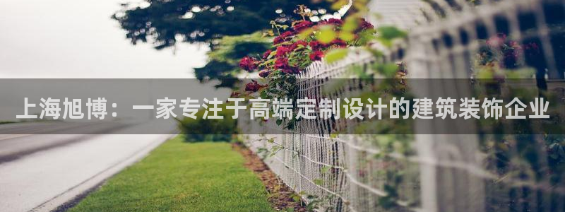 新航娱乐观