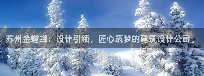 新航娱乐公司怎么样啊