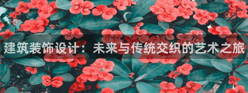 新航娱乐最新消息
