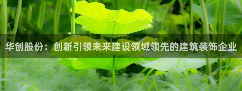 新航娱乐招商Q