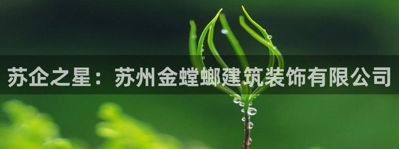 新航文化娱乐传媒招聘