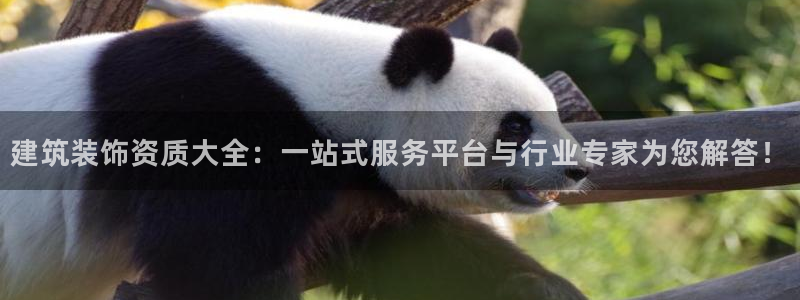 新航娱乐主管是谁