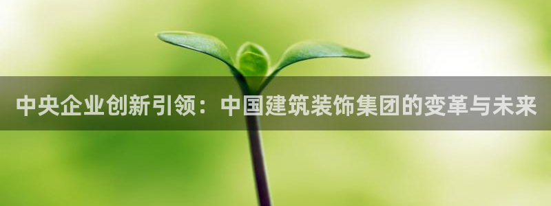 云顶新航国际娱乐城