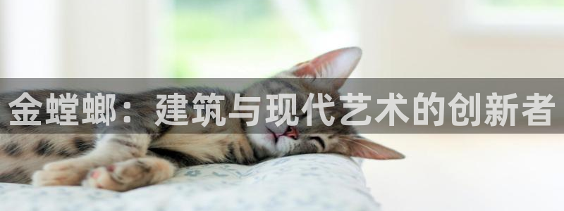 新航娱乐有限公司