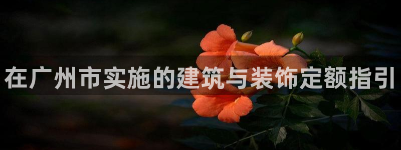 新航娱乐直开怎么下载