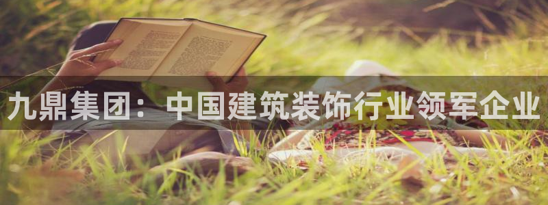 新航娱乐公司