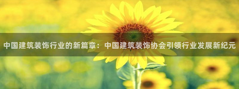 新航娱乐公司招聘