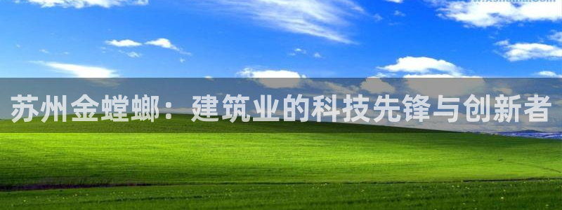 新航线娱乐会所