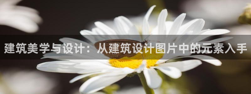新航娱乐设施