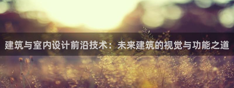 新航娱乐是干嘛的