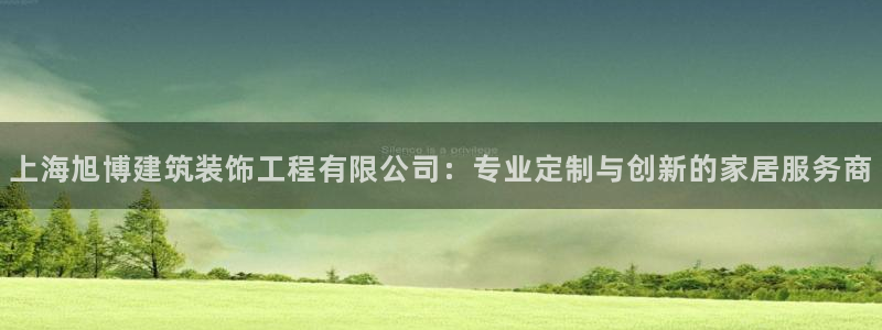 新航娱乐入网要求