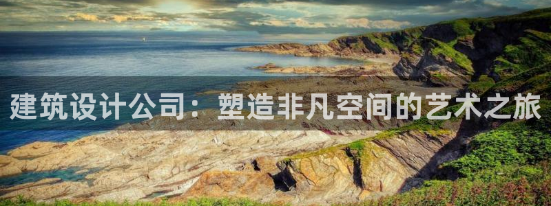 新航娱乐的创始人背景