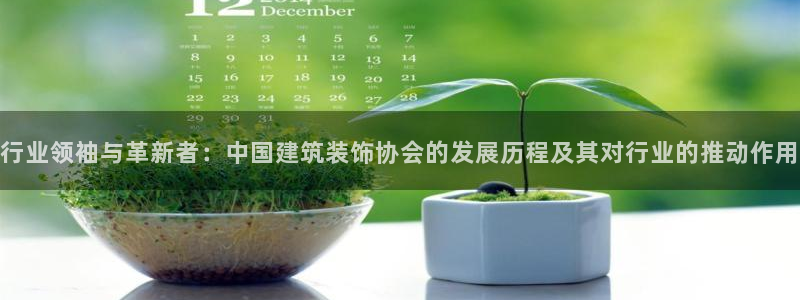 新航娱乐公司艺人