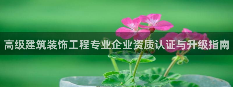 新航娱乐公司艺人招聘